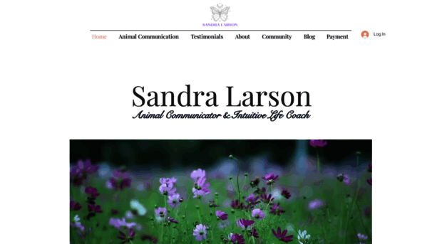 sandralarson.com