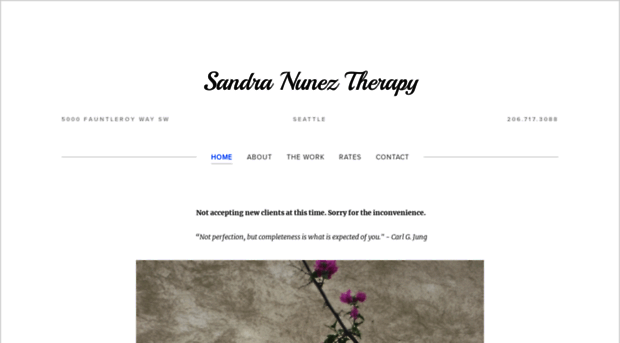 sandranuneztherapy.com