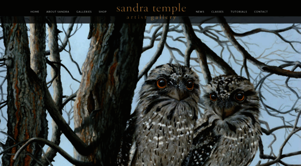 sandratemple.com