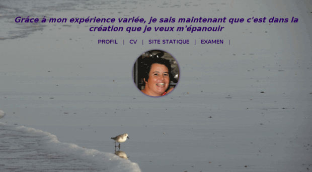 sandrinemahaux.com