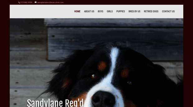 sandylanebernese.com