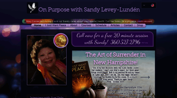 sandylevey.com