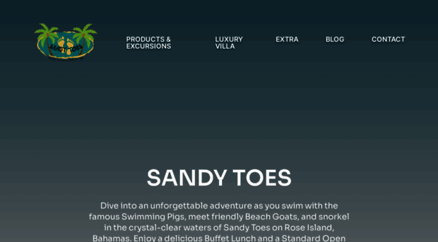 sandytoesbahamas.com