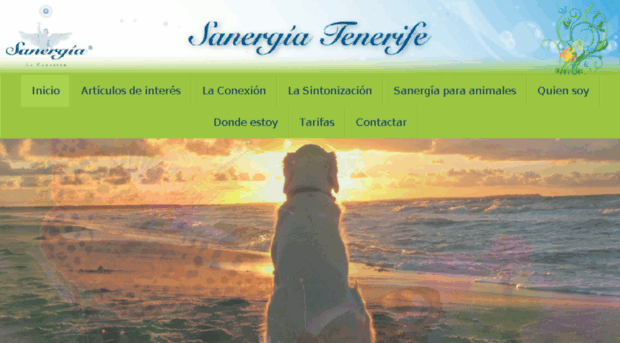 sanergiatenerife.com