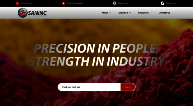 saninc.com