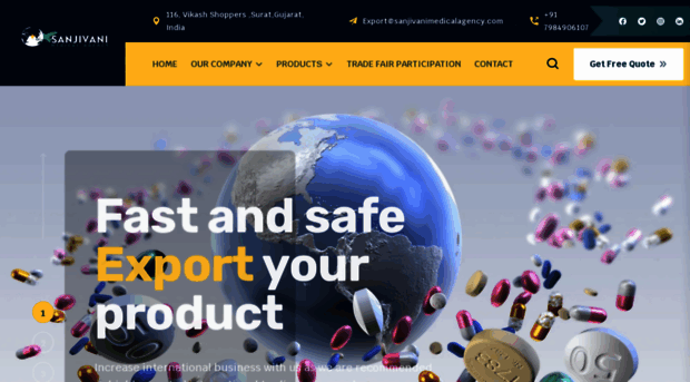 sanjivanimedicalagency.com