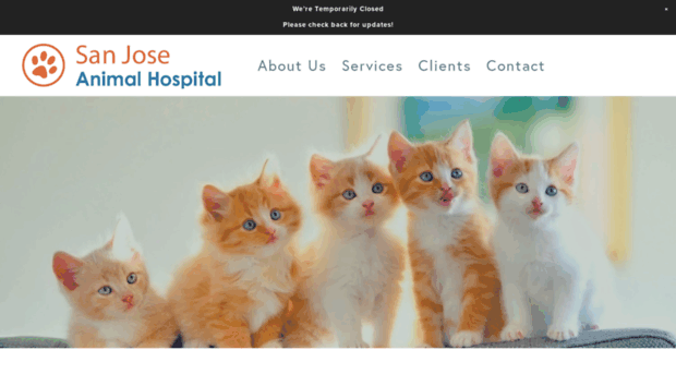 sanjoseanimalhospital.com