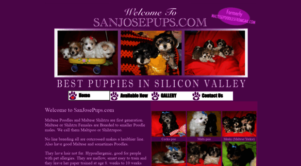 sanjosepups.com