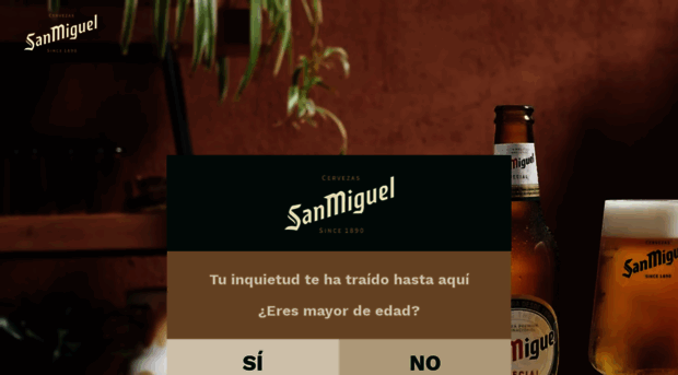 sanmiguel.es