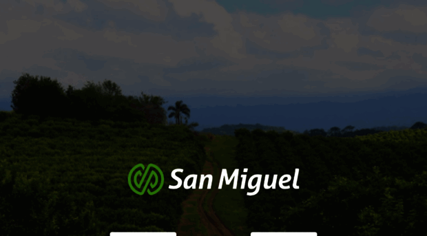 sanmiguelglobal.com