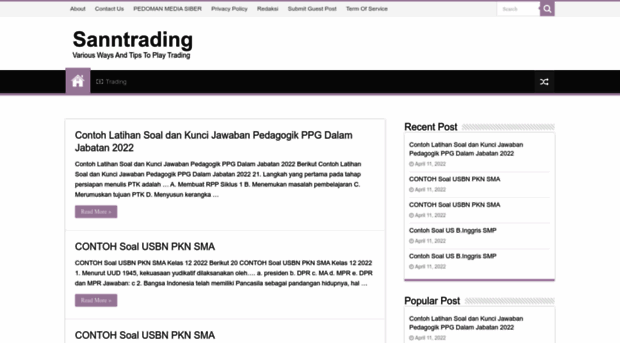 sanntrading.com