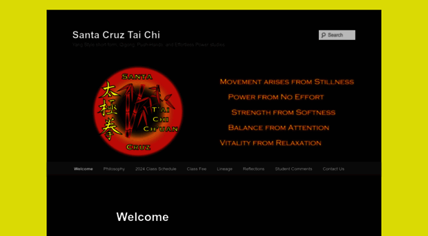 santacruztaichi.com