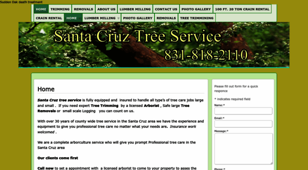 santacruztreeservice.com