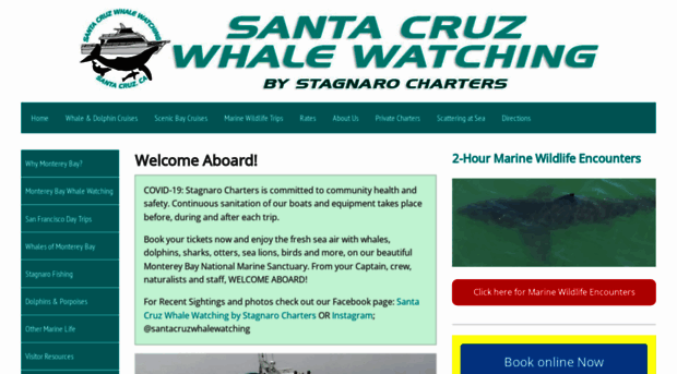 santacruzwhalewatching.com