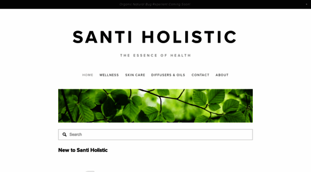 santiholistic.com