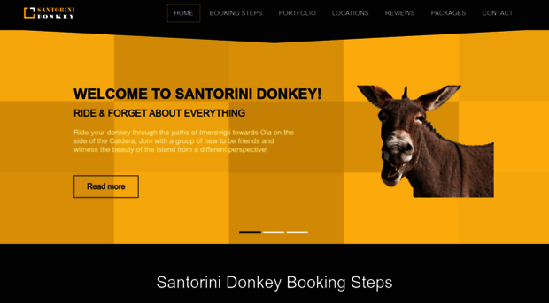 santorinidonkey.com