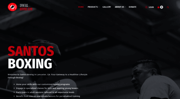 santosboxinggym.com