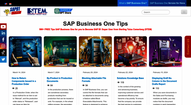 sap-business-one-tips.com