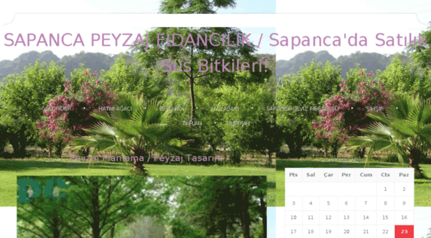 sapancapeyzaj.net