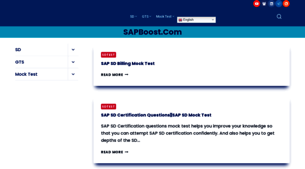 sapboost.com