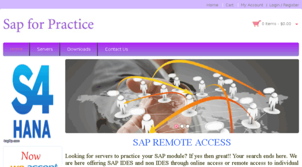 sapforpractice.com