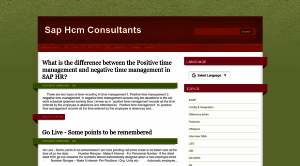 saphcmconsultants.blogspot.com