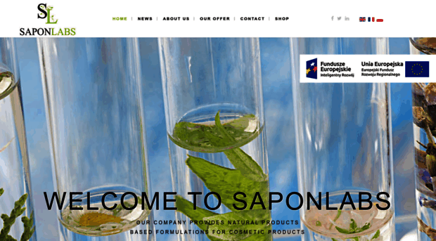 saponlabs.com