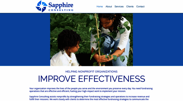 sapphireconsulting.com