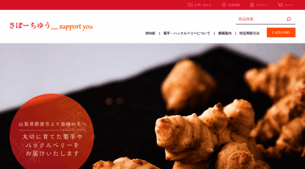 sapport-you.com