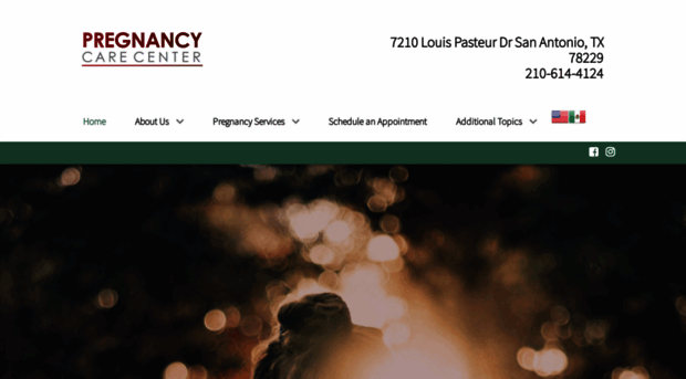 sapregnancy.com