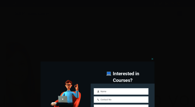 saptrainingacademy.com