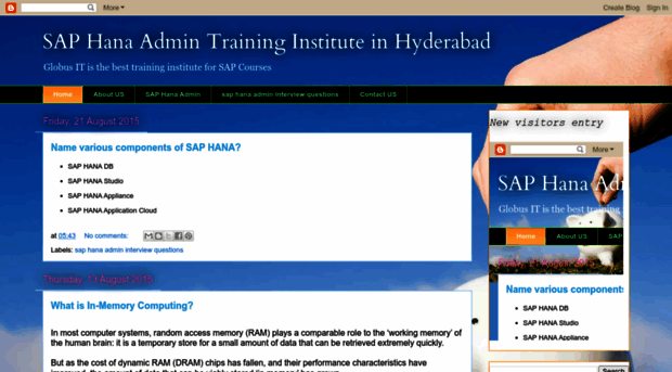 saptraininginstitutehyderabad.blogspot.in