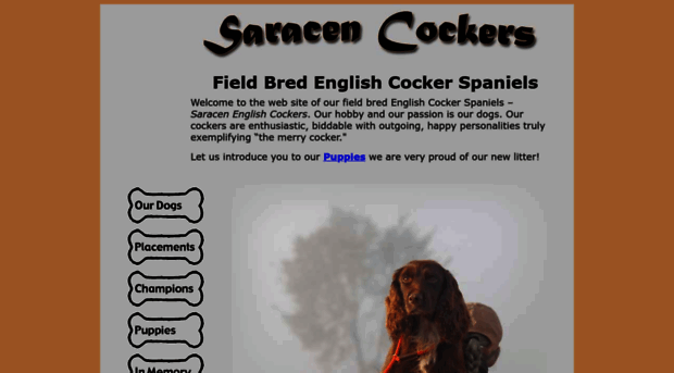 saracencockers.com