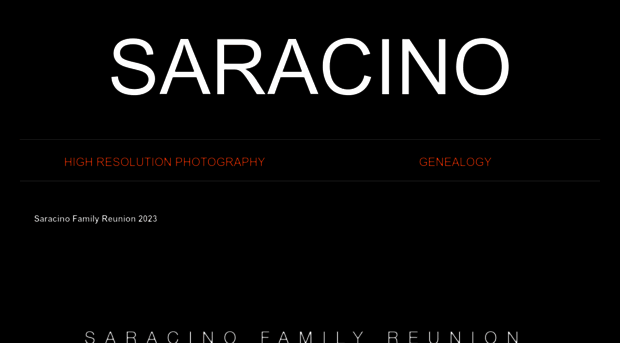 saracino.com