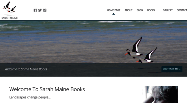 sarahmainebooks.com