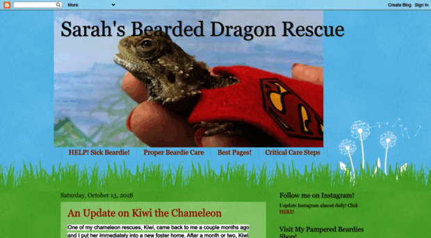 sarahsbeardeddragonrescue.blogspot.com