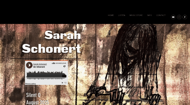 sarahschonertmusic.com