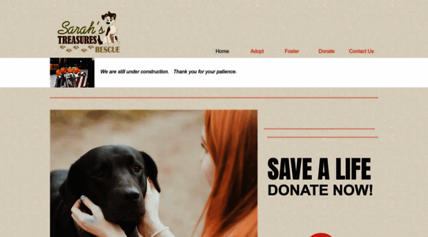 sarahstreasuresrescue.net