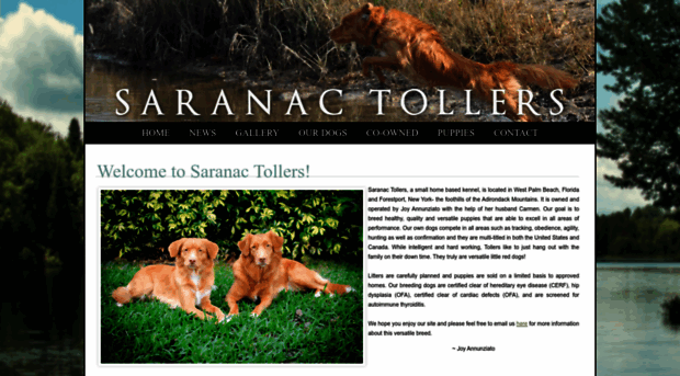 saranactollers.com