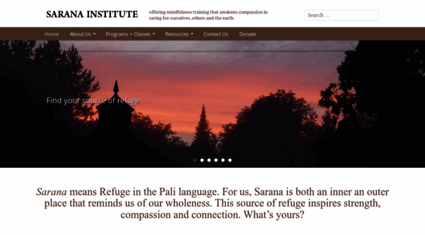 saranainstitute.org