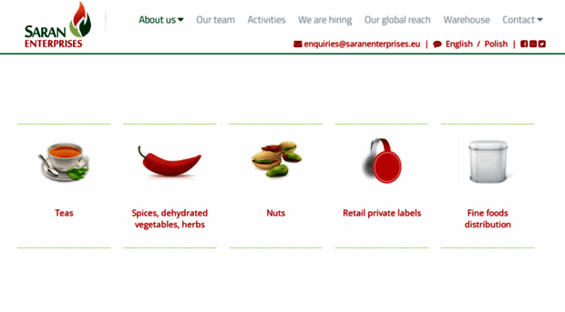 saranenterprises.eu