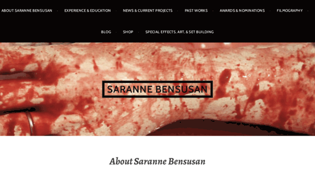 sarannebensusan.com