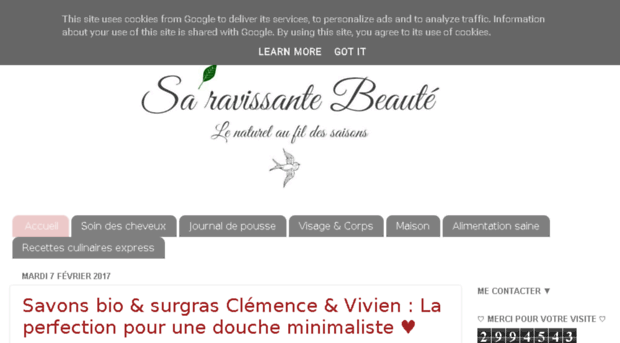 saravissantebeaute.blogspot.fr