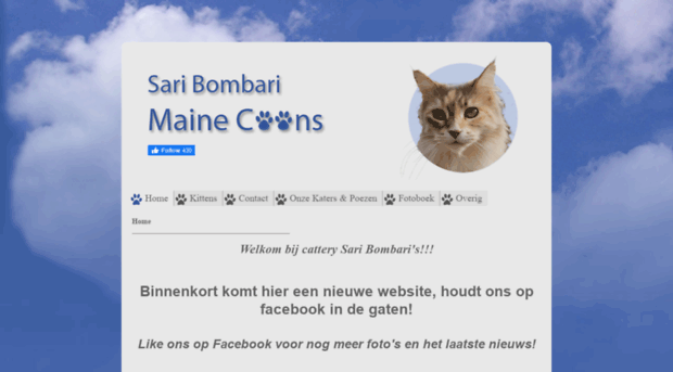 saribombari.nl