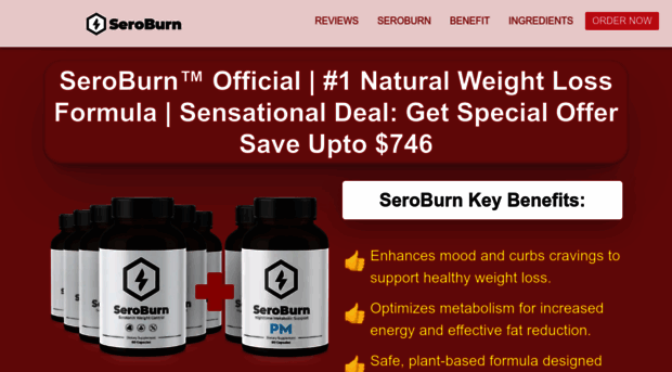 saroburn.com