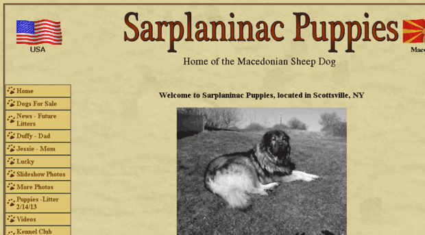 sarplaninacpuppies.com