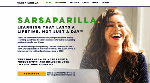 sarsaparillamarketing.com
