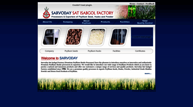 sarvodaypsyllium.com