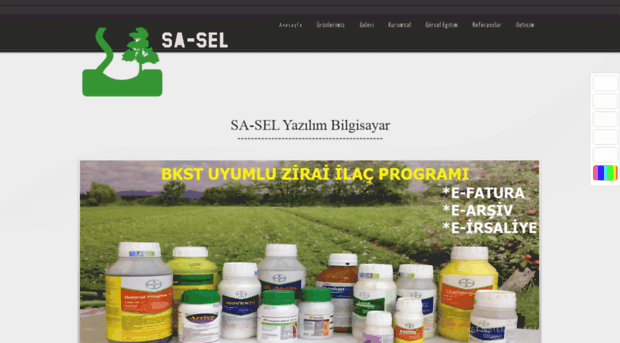 saselsoft.com