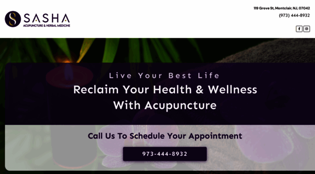 sashaacupuncture.com